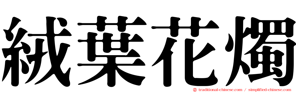 絨葉花燭