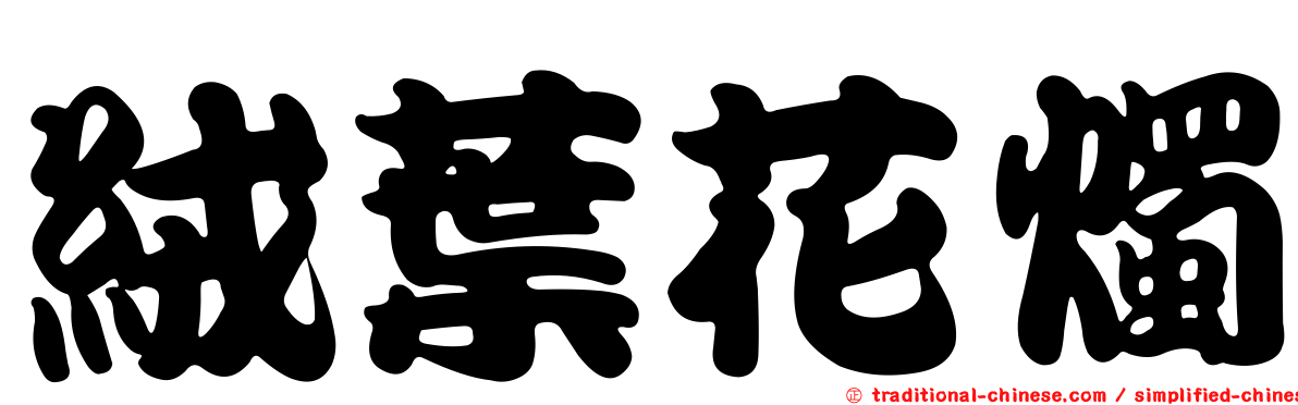 絨葉花燭