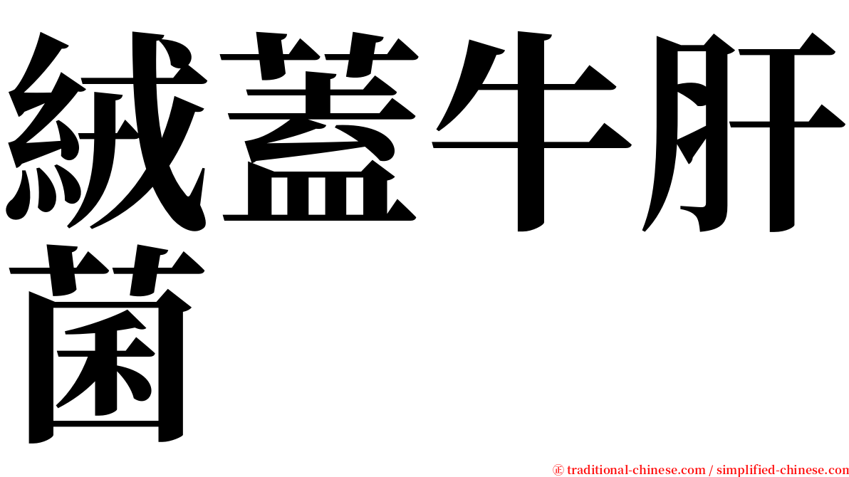 絨蓋牛肝菌 serif font