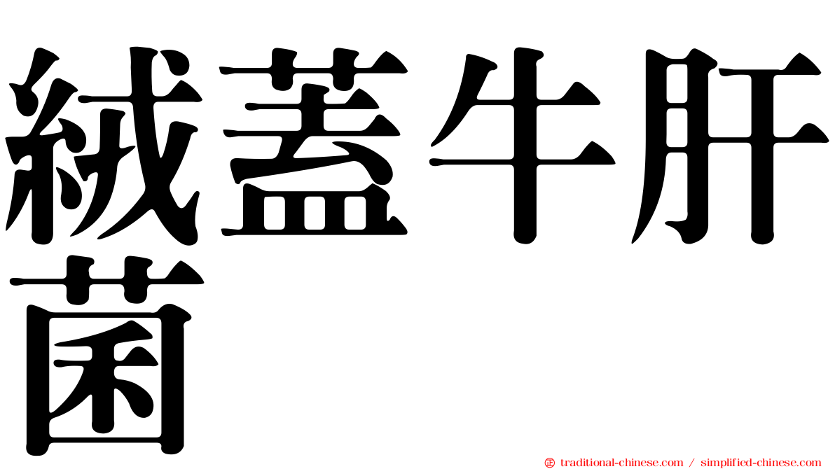 絨蓋牛肝菌