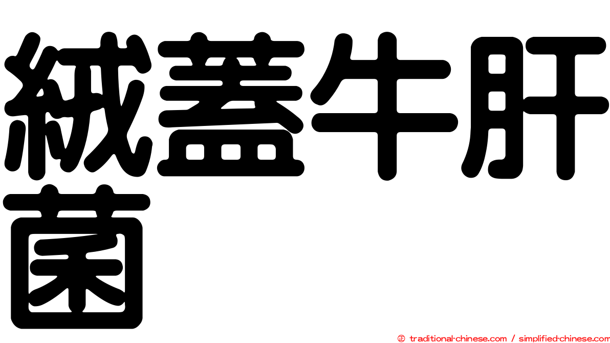 絨蓋牛肝菌