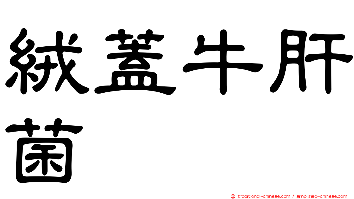絨蓋牛肝菌