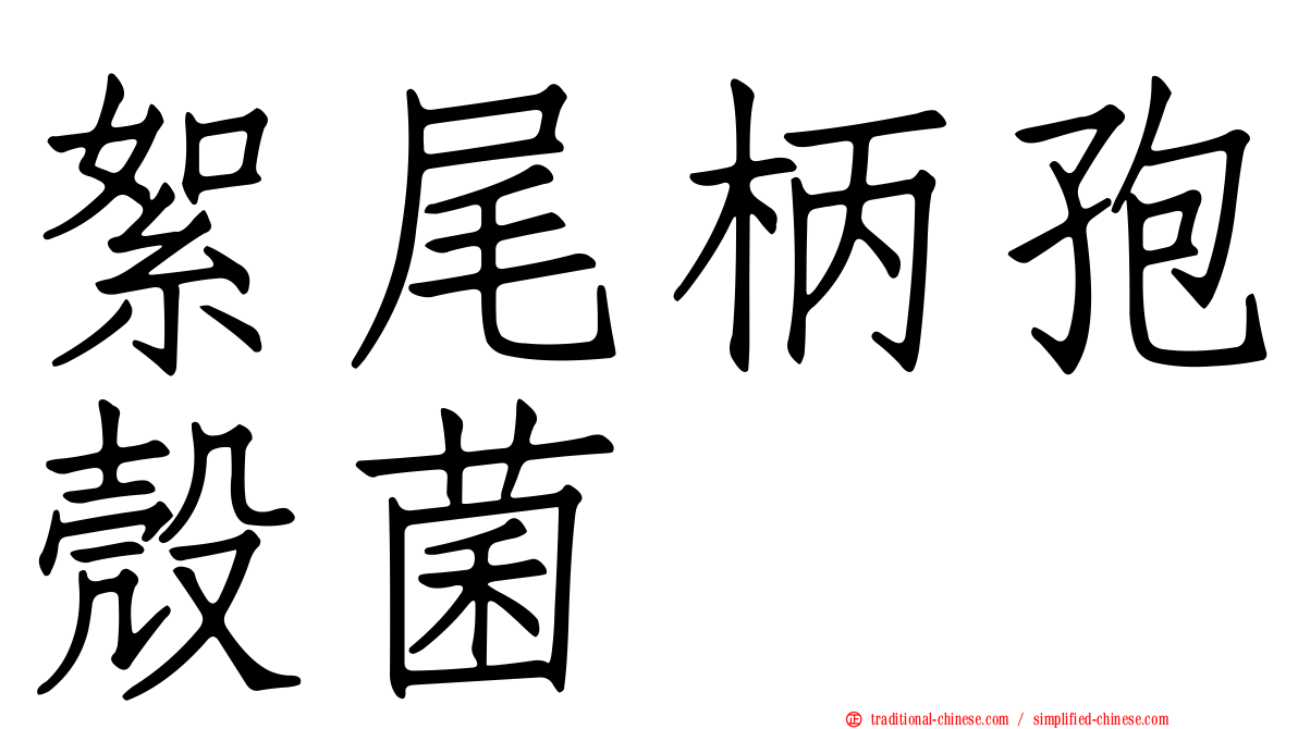 絮尾柄孢殼菌
