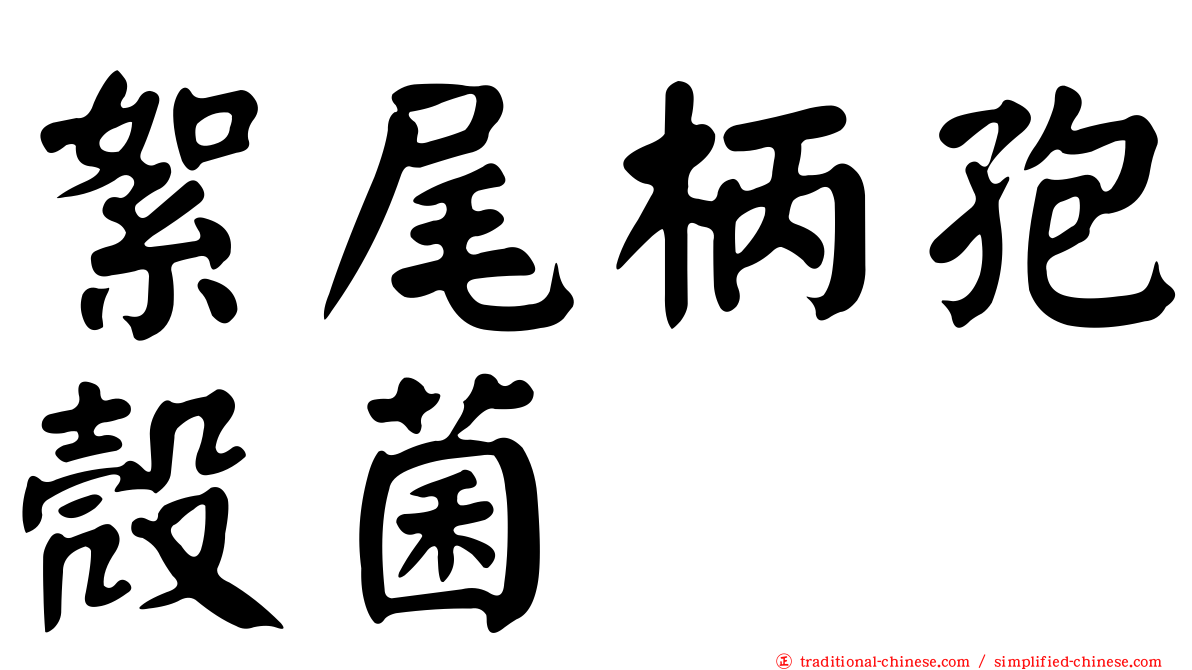 絮尾柄孢殼菌