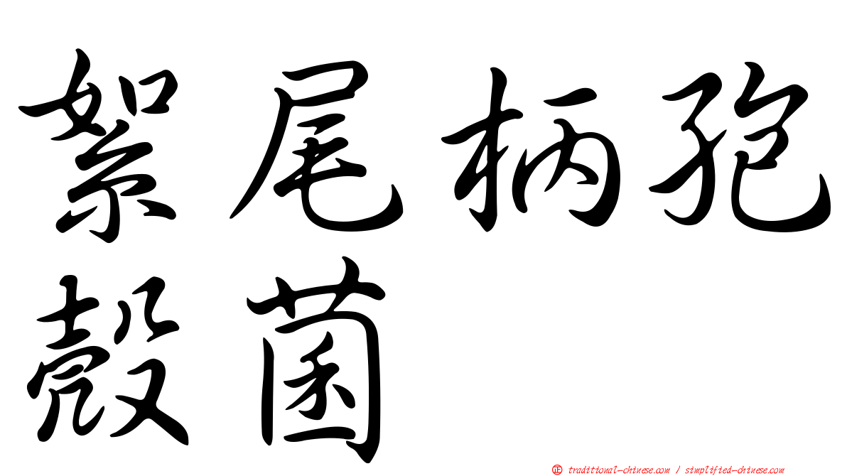 絮尾柄孢殼菌