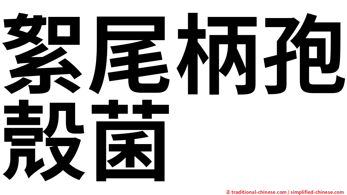 絮尾柄孢殼菌
