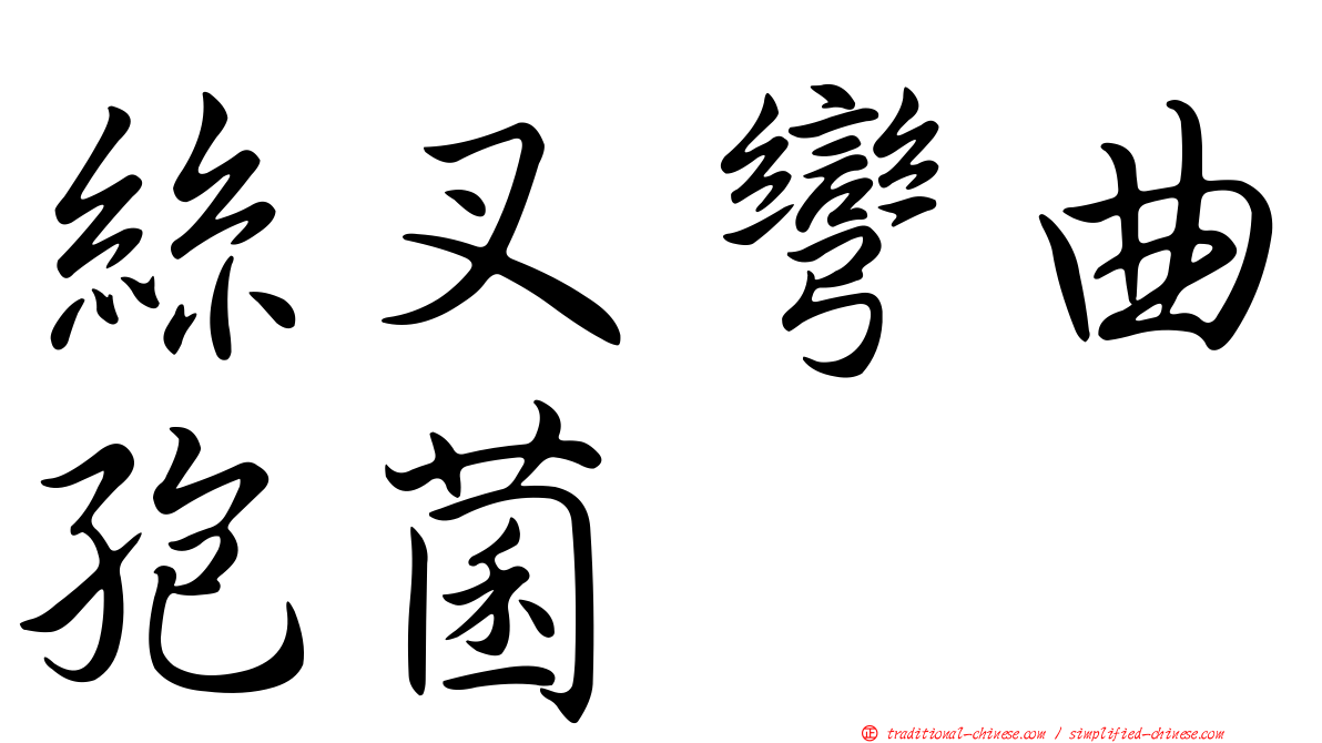 絲叉彎曲孢菌