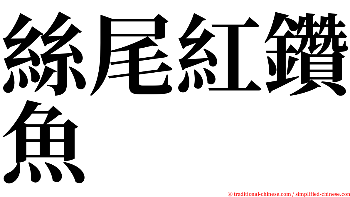 絲尾紅鑽魚 serif font