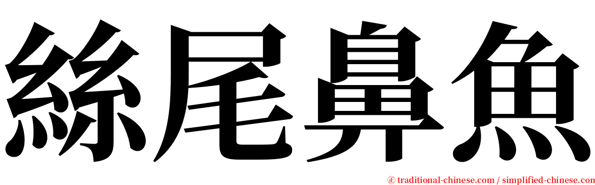 絲尾鼻魚 serif font