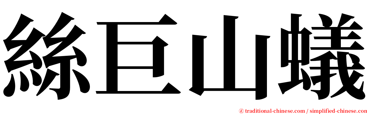 絲巨山蟻 serif font