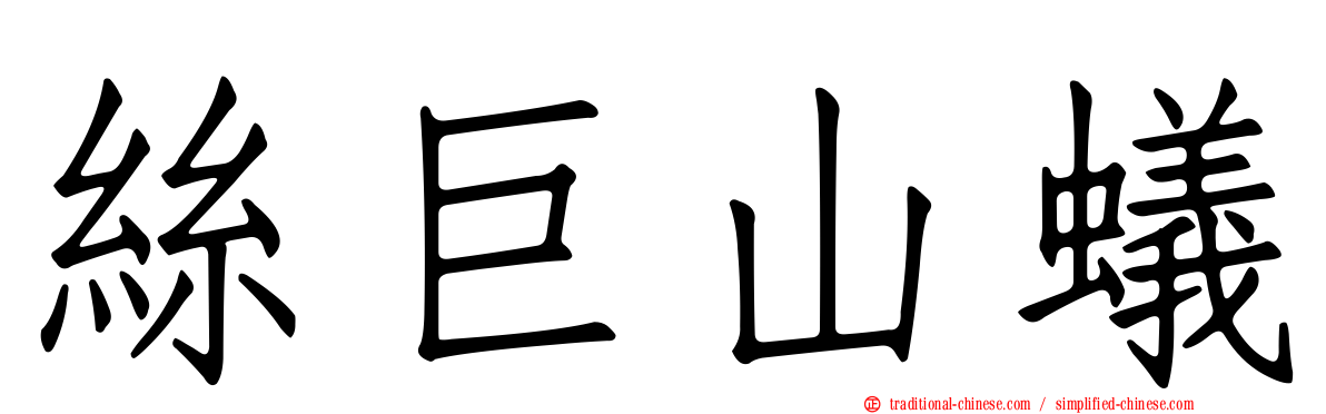 絲巨山蟻