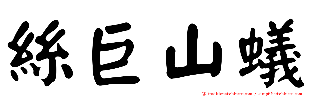 絲巨山蟻