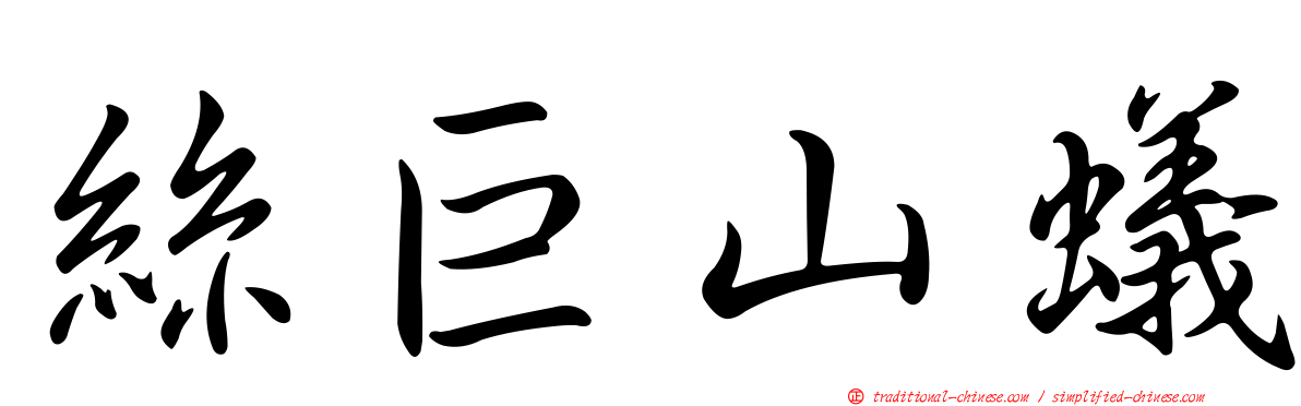 絲巨山蟻