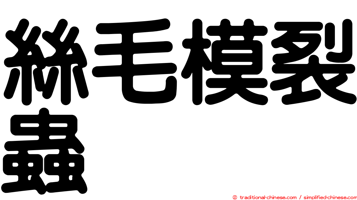 絲毛模裂蟲