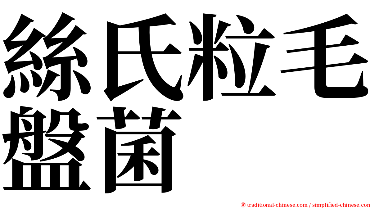 絲氏粒毛盤菌 serif font