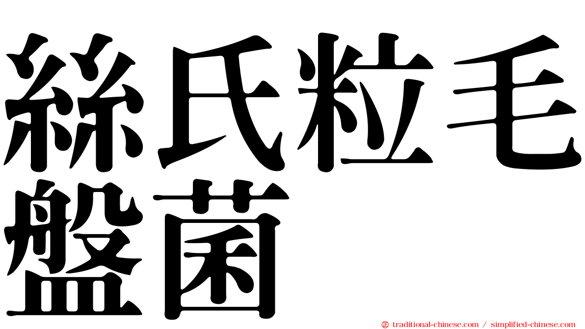 絲氏粒毛盤菌