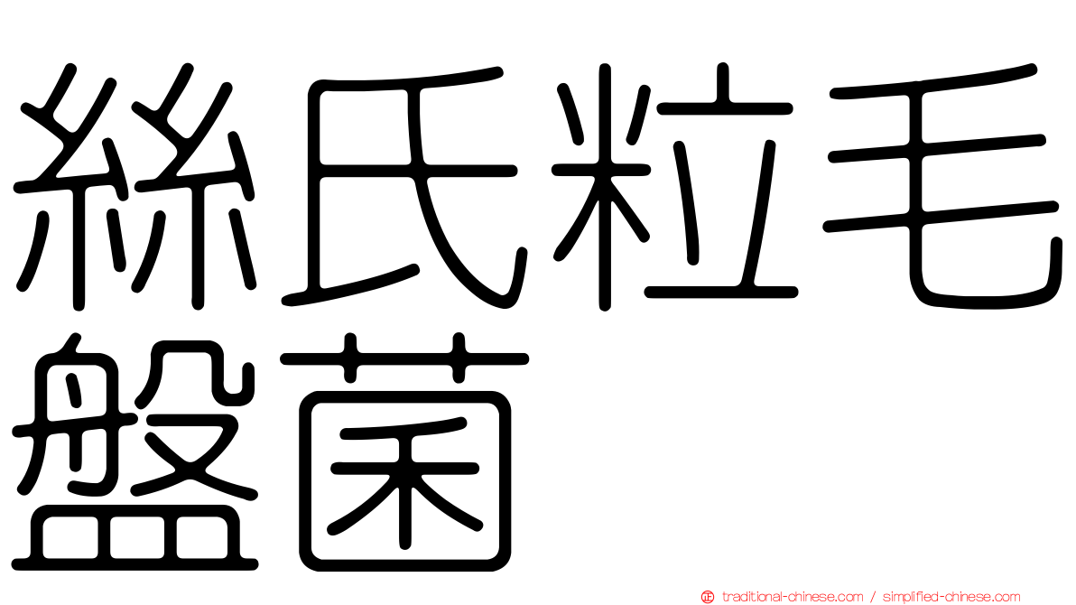 絲氏粒毛盤菌