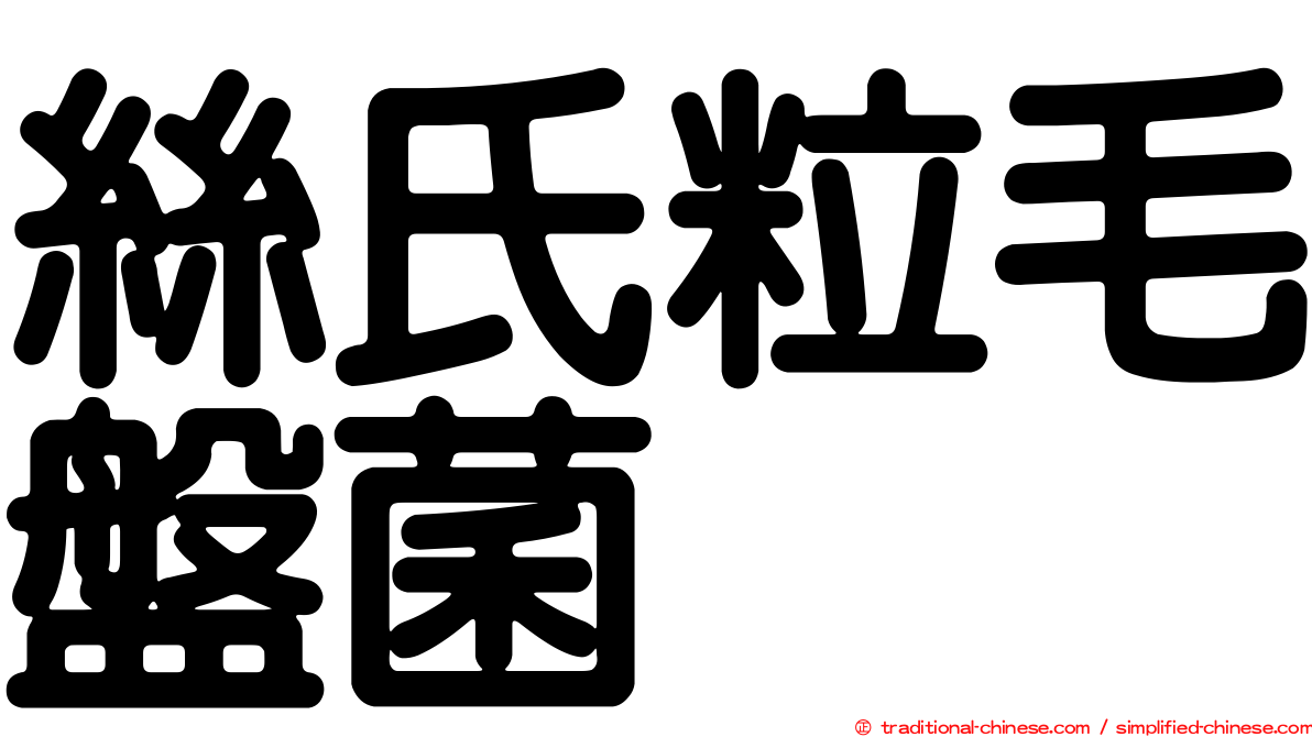 絲氏粒毛盤菌
