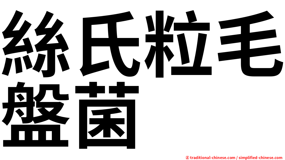 絲氏粒毛盤菌