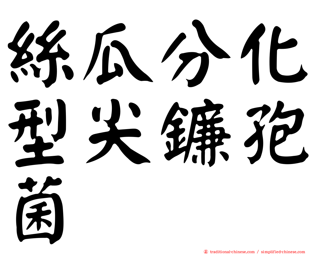 絲瓜分化型尖鐮孢菌