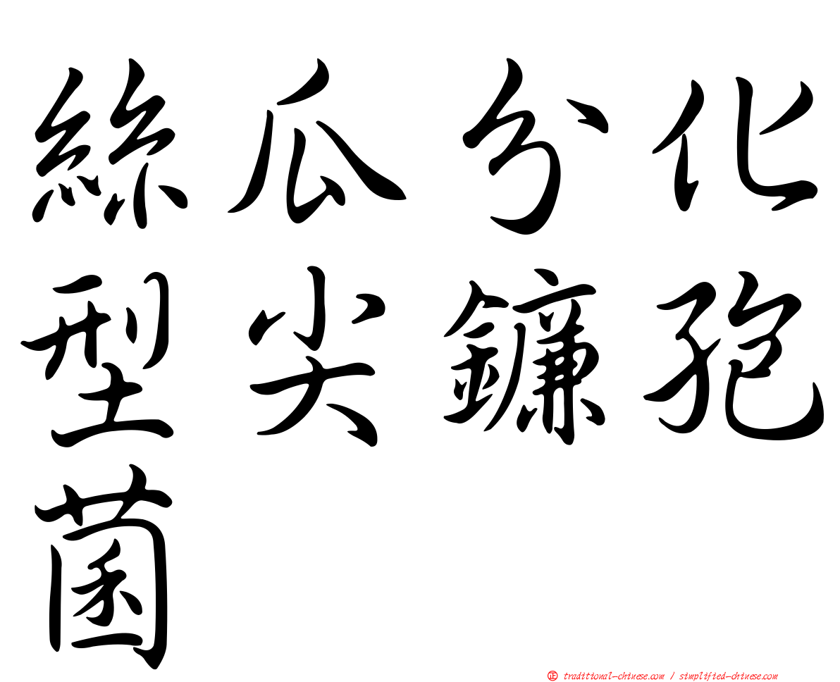絲瓜分化型尖鐮孢菌