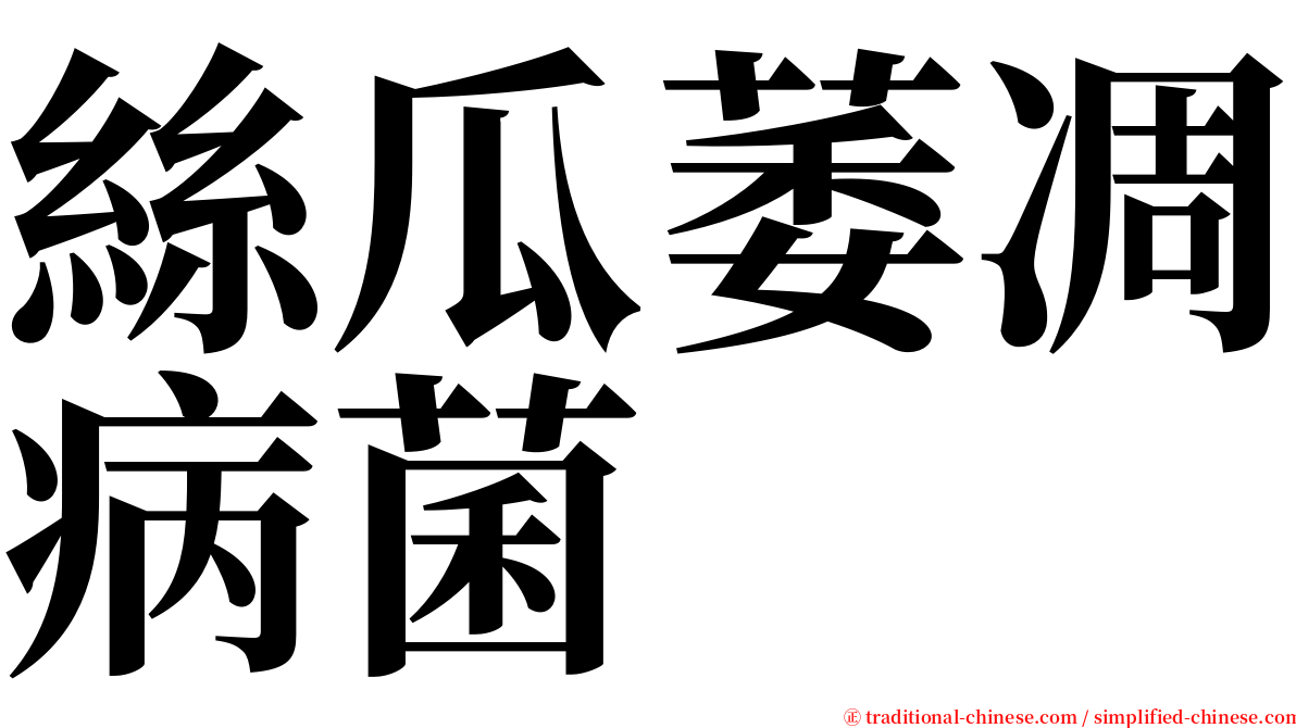 絲瓜萎凋病菌 serif font