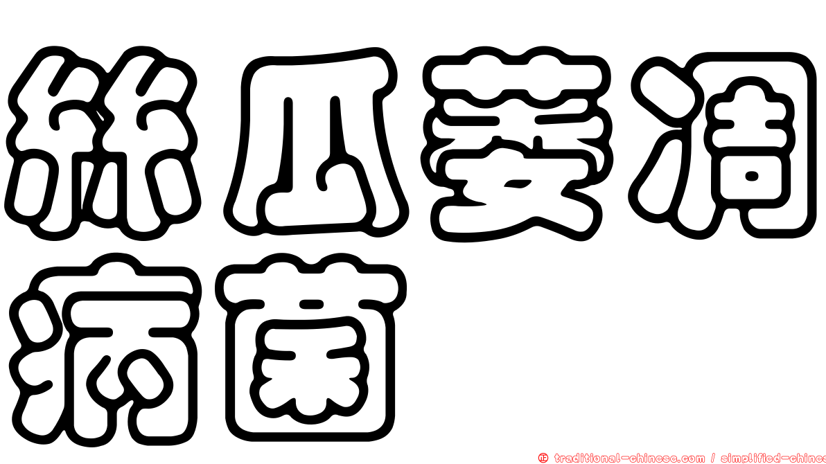 絲瓜萎凋病菌