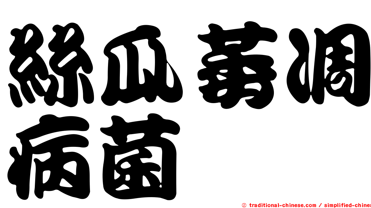 絲瓜萎凋病菌
