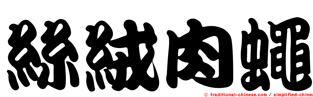 絲絨肉蠅