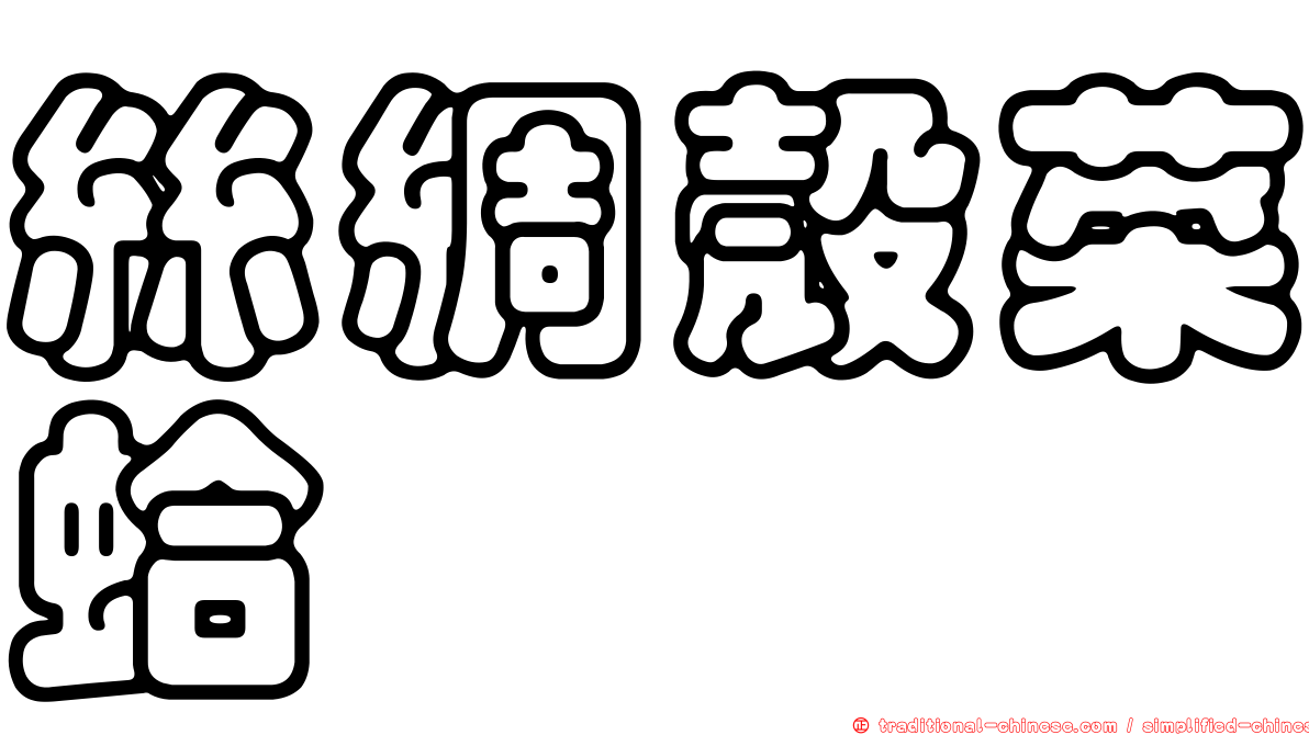 絲綢殼菜蛤