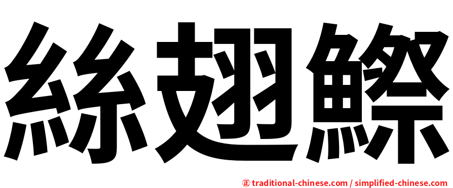 絲翅鰶