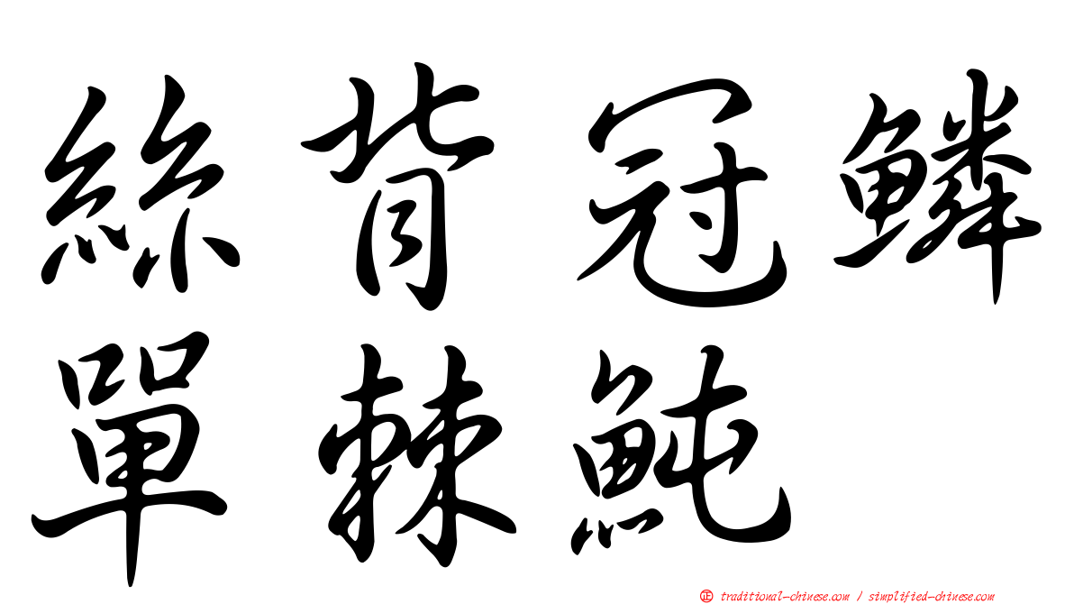 絲背冠鱗單棘魨