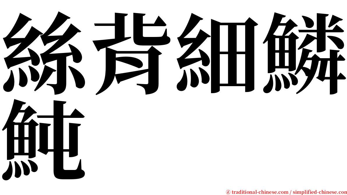 絲背細鱗魨 serif font