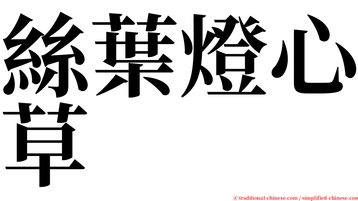 絲葉燈心草 serif font