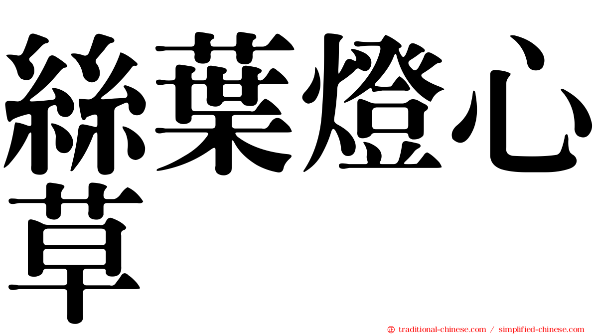絲葉燈心草