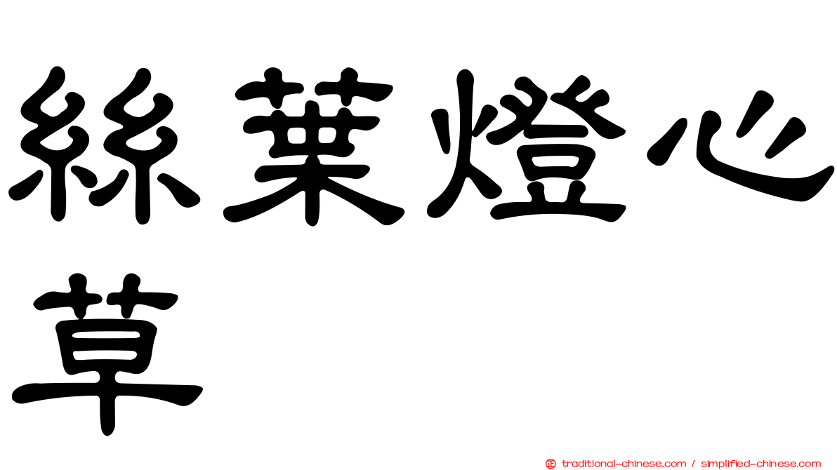 絲葉燈心草
