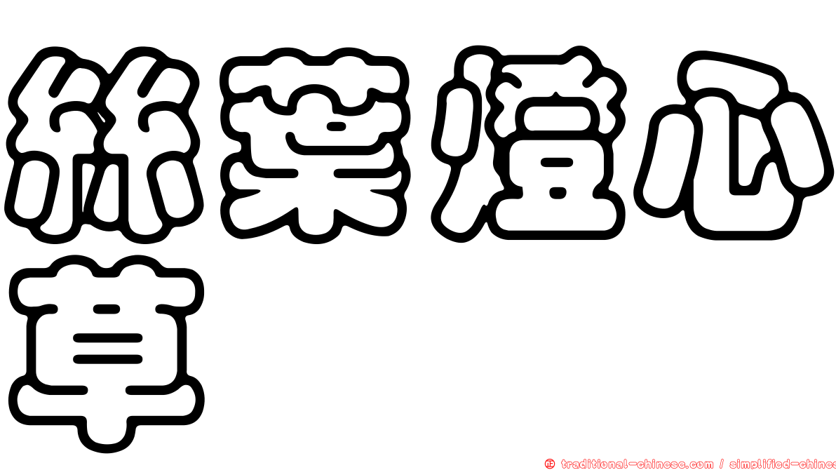 絲葉燈心草