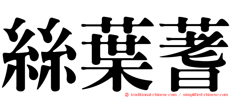 絲葉蓍