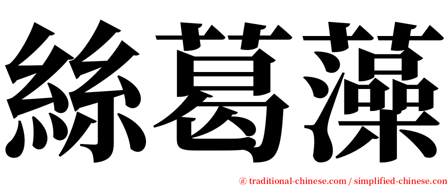 絲葛藻 serif font