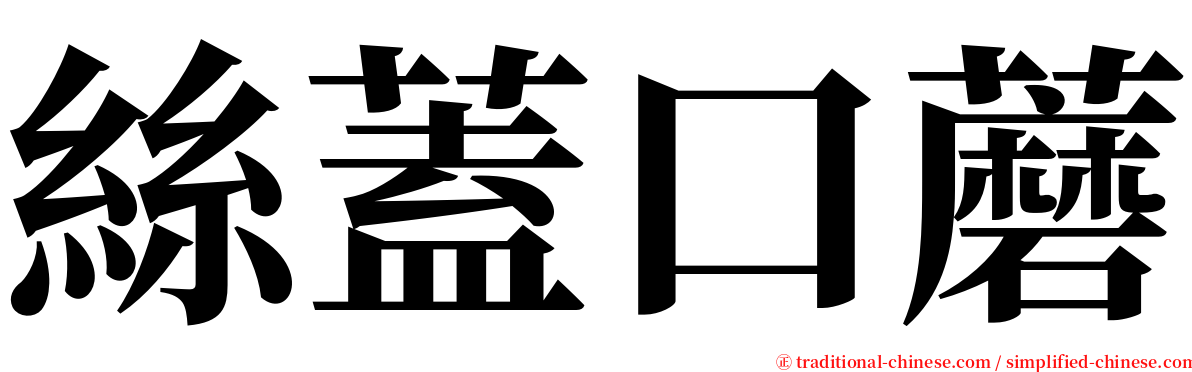 絲蓋口蘑 serif font