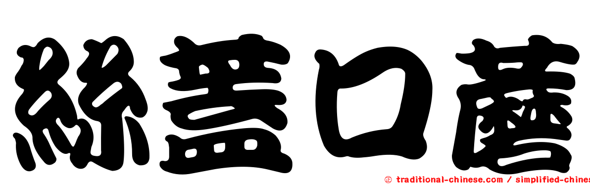 絲蓋口蘑