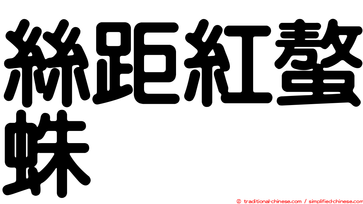 絲距紅螯蛛