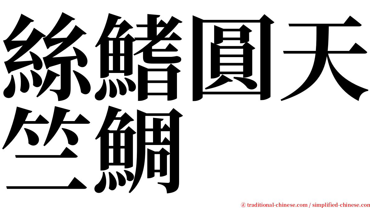 絲鰭圓天竺鯛 serif font