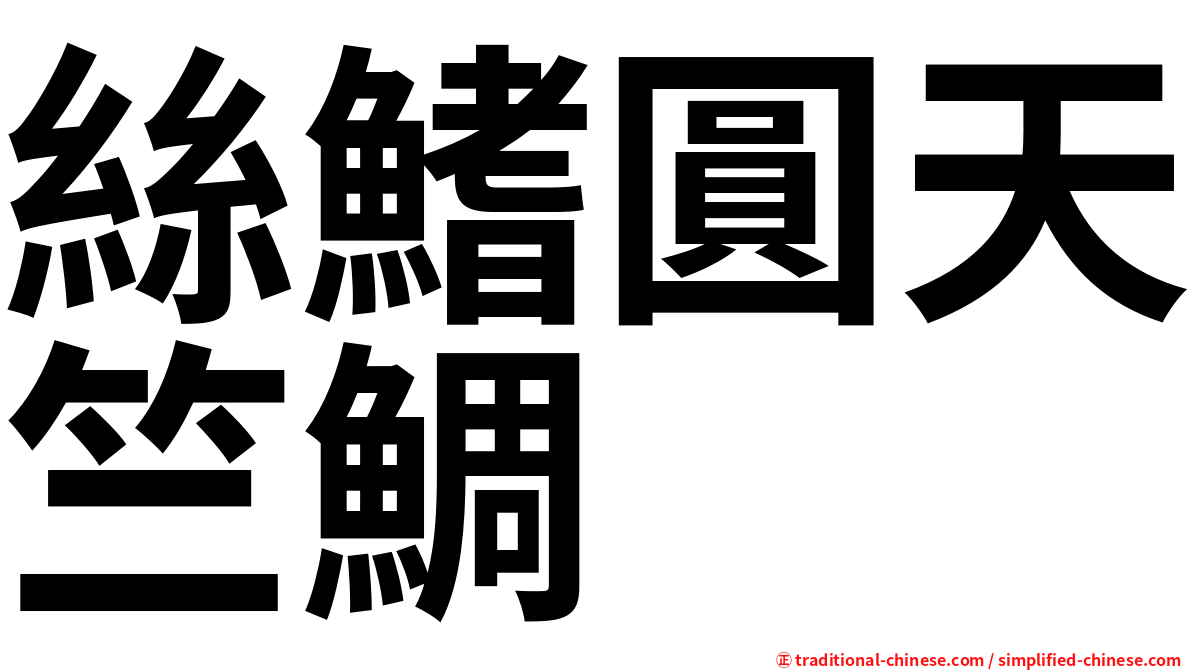 絲鰭圓天竺鯛