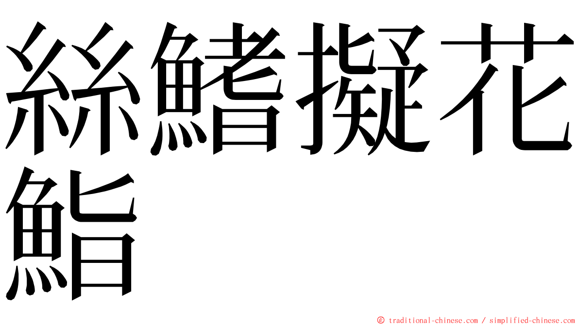 絲鰭擬花鮨 ming font