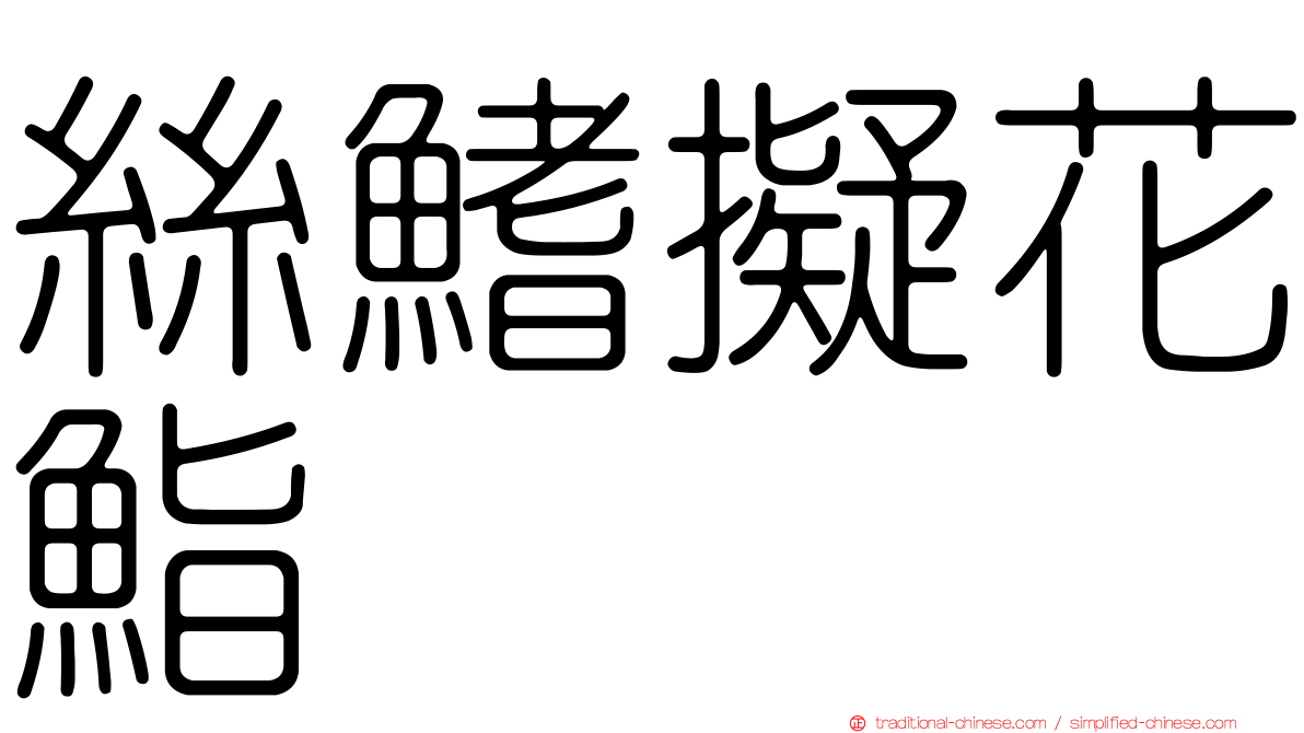絲鰭擬花鮨