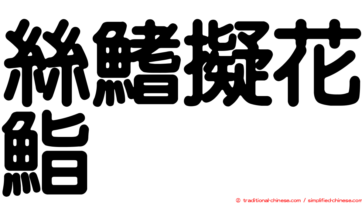 絲鰭擬花鮨