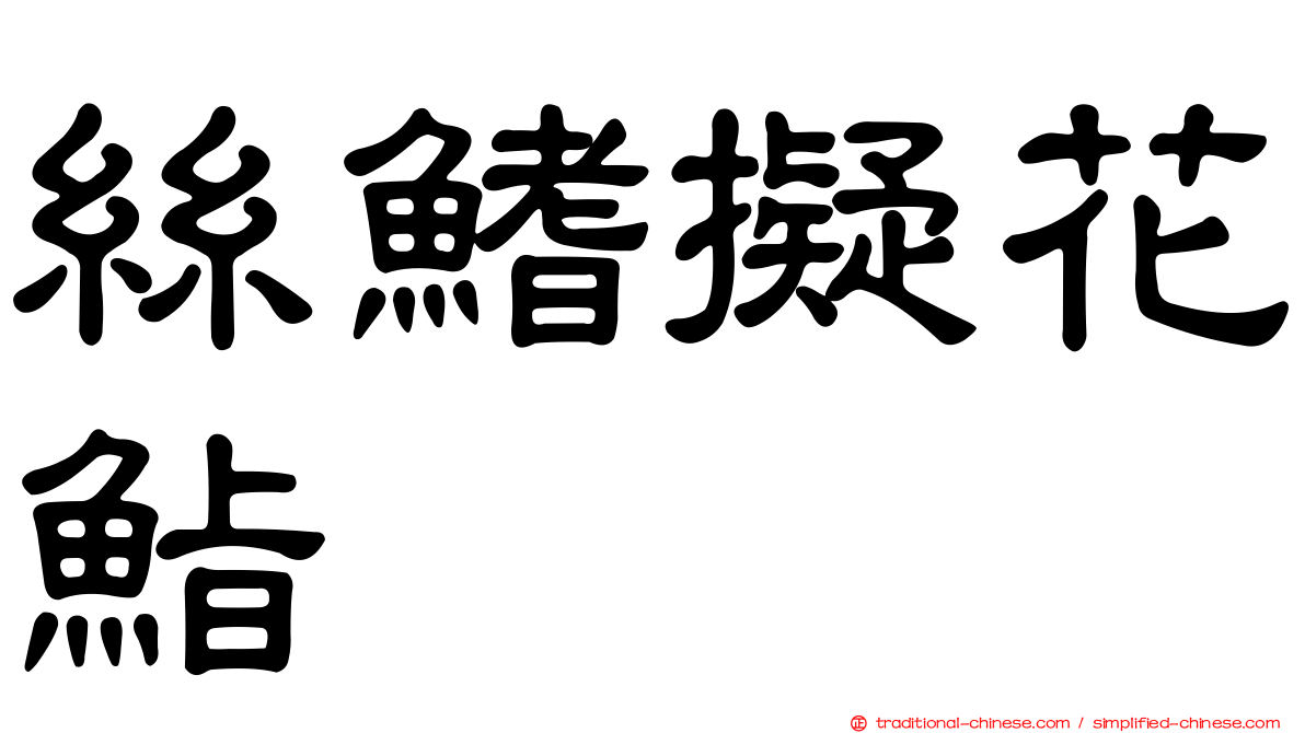 絲鰭擬花鮨