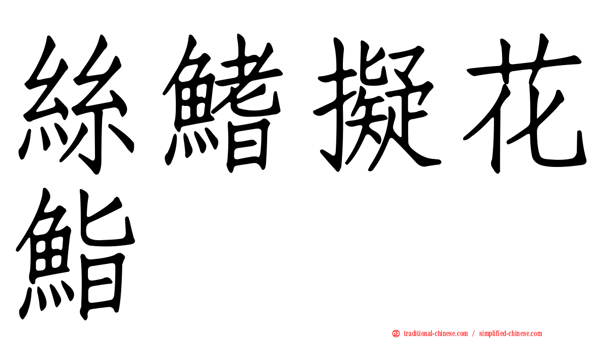 絲鰭擬花鮨