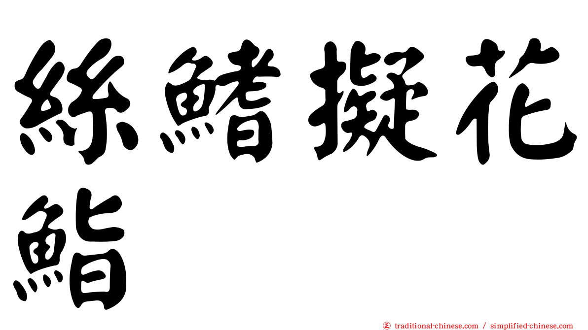 絲鰭擬花鮨